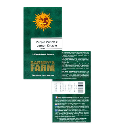 Purple Punch X Lemon Drizzle fem от Barney's Farm семена конопли