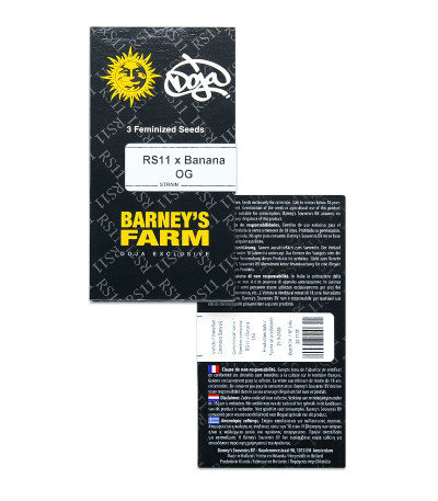 RS 11 x Banana OG fem от Barney's Farm семена конопли