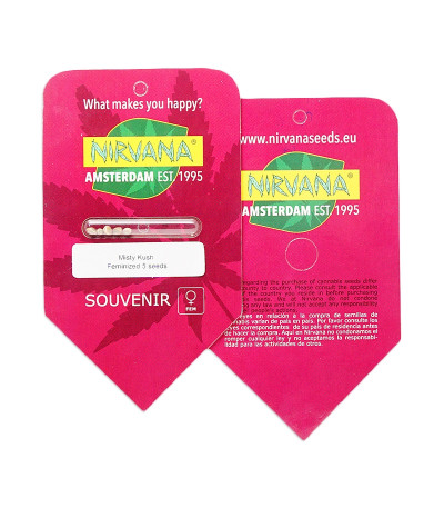Misty Kush fem семена конопли