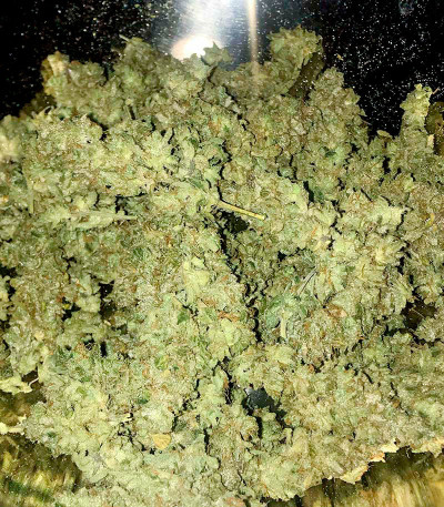 Gorilla Blue fem (Advanced Seeds) семена конопли