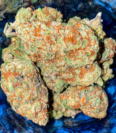 Purple Punch F1 fem (Seedkeepers) семена конопли