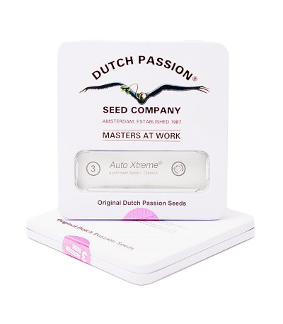 Auto Xtreme fem (Dutch Passion) семена конопли