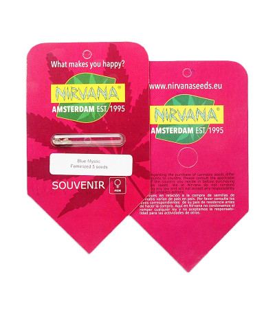 Blue Mystic fem (Nirvana Seeds) семена конопли