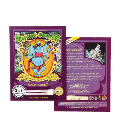 Семена марихуаны Cream Caramel (Sweet Seeds) в оригинальной упаковке 