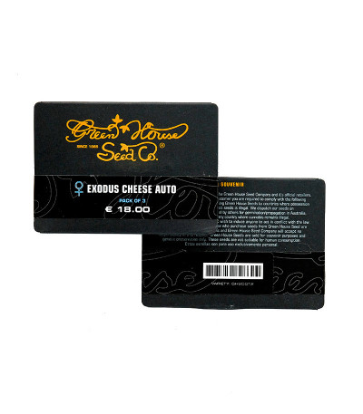 Exodus Cheese Autoflowering fem (Green House Seeds) семена конопли