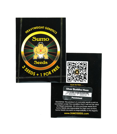 Silver Buddha Haze fem (Sumo Seeds) семена конопли