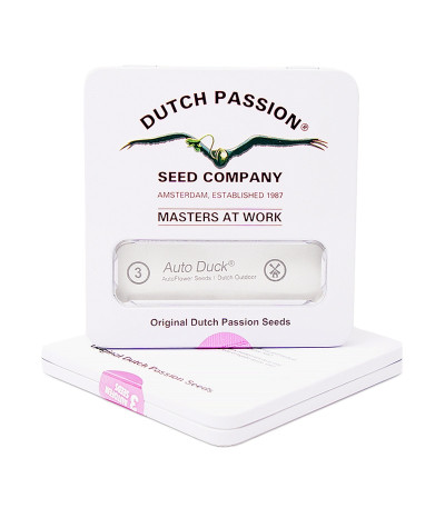 Семена конопли Auto Duck в оригинальной упаковке