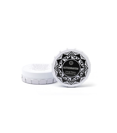 Critical Cheese Autoflowering fem (Dinafem Seeds) семена конопли