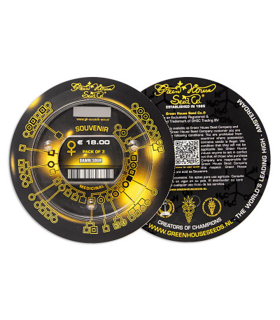 Damn Sour fem семена конопли