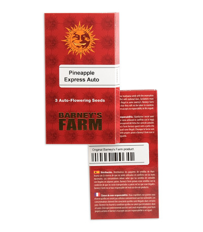 Pineapple Express Auto fem (Barney's Farm) семена конопли