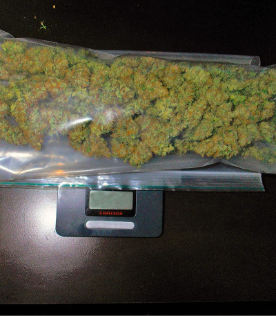 Sin Tra Bajo Auto fem семена конопли