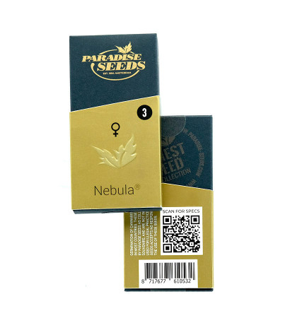 Nebula fem (Paradise Seeds) семена конопли
