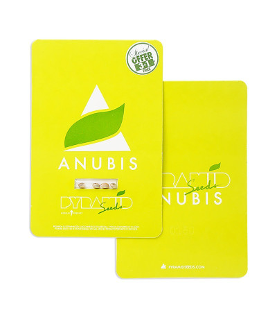 Anubis fem (Pyramid Seeds) семена конопли