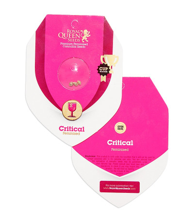 Critical fem (Royal Queen Seeds) семена конопли