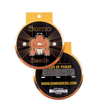 Sumo's Big Bud fem (Sumo Seeds) семена конопли
