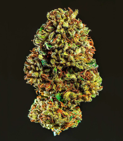 Orange Buddy Auto fem (Herbies Seeds) семена конопли