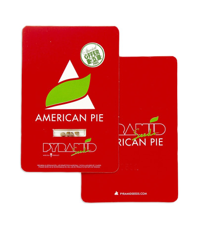 American Pie fem (Pyramid Seeds) семена конопли