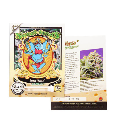 Sweet Cheese F1 Fast Version fem (Sweet Seeds) семена конопли