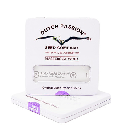 Auto Night Queen fem (Dutch Passion) семена конопли