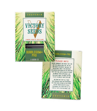 Bubblegum+ Pro fem (Victory Seeds) семена конопли