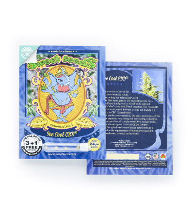 NYC Diesel CBD fem (Sweet Seeds) сорт конопли