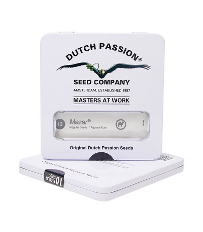 Семена марихуаны Mazar в оригинальной упаковке