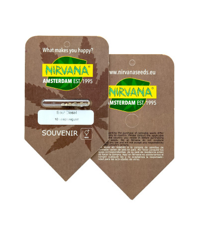 Sour Diesel (Sativa's Sour Diesel) reg семена конопли