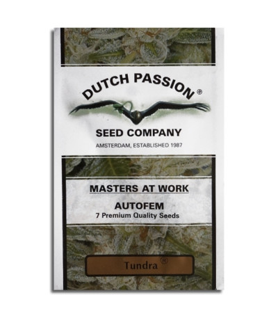 Tundra fem семена конопли