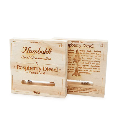 Raspberry Diesel fem семена конопли