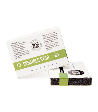 Sensible Star fem семена конопли