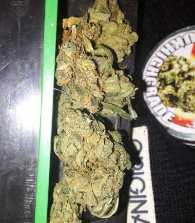 Cheese fem (Vision Seeds) семена конопли