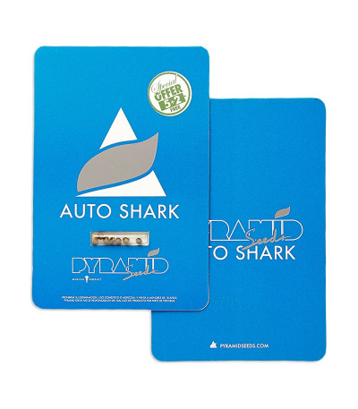 Auto Shark fem (Pyramid Seeds) семена конопли