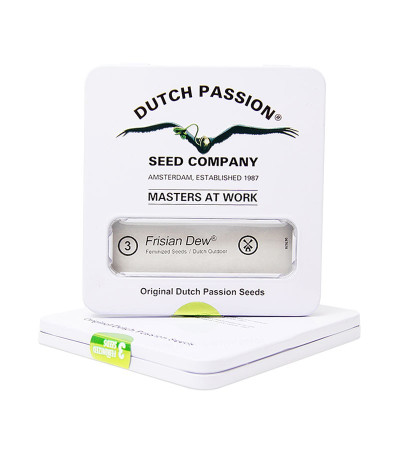 Купить семена каннабиса Frisian Dew в оригинальной упаковке
