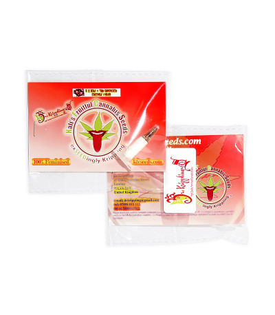 Kali & the Chocolate Factory fem (KFC Seeds) семена конопли