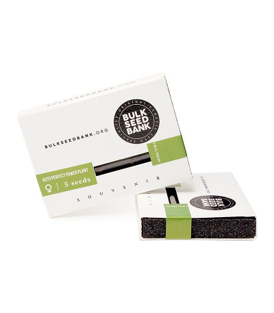 Auto Perfect Power Plant fem семена конопли