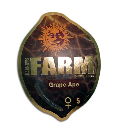 Grape Ape fem (Barney's Farm) семена конопли