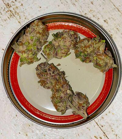 Punchberry Cookies RBX fem (Ethos Genetics) семена конопли