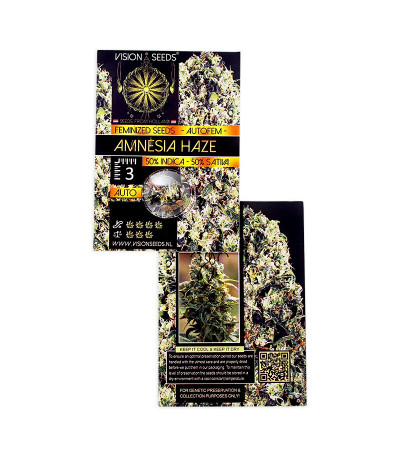 Amnesia Haze Auto Fem (Vision Seeds) семена конопли