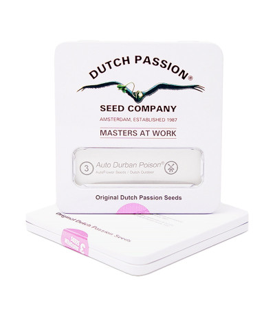 Семена сорта Auto Durban Poison в оригинальной упаковке