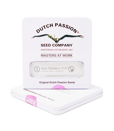 Семена конопли Auto Glueberry O.G. в оригинальной упаковке