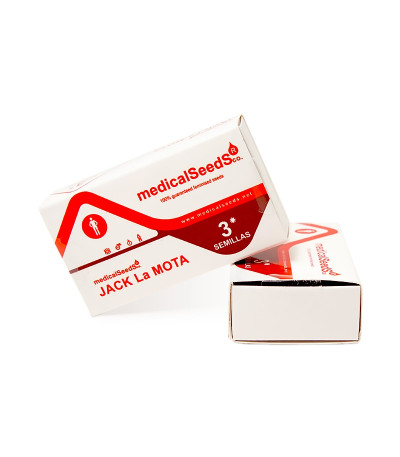 Jack La Mota fem семена конопли