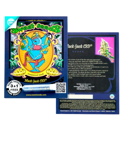 Black Jack CBD fem семена конопли
