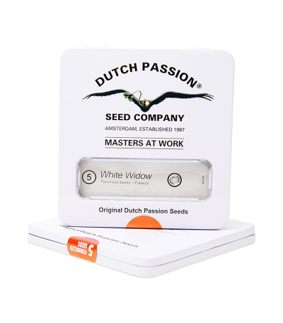 White Widow fem (Dutch Passion) семена конопли