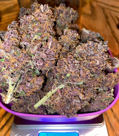 Purple Juice Auto fem (Herbies Seeds) семена конопли