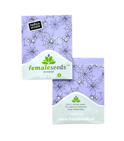 White Widow x Big Bud fem (Female Seeds) семена конопли