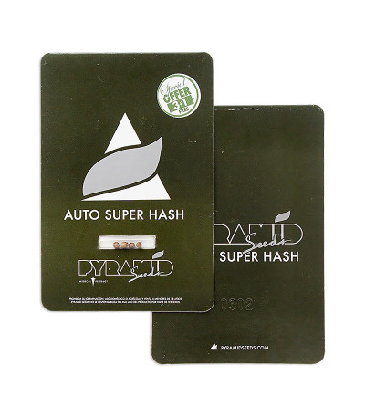 Auto Super Hash fem (Pyramid Seeds) семена конопли