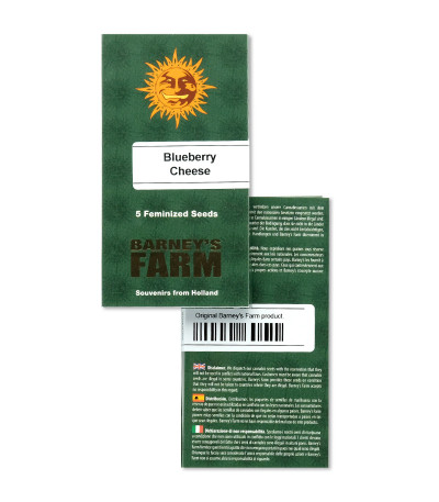 Blueberry Cheese fem (Barneys Farm) семена конопли