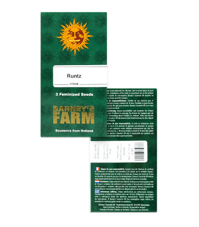 Runtz fem (Barney's Farm) семена конопли