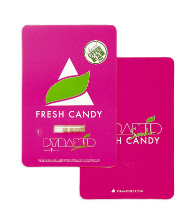 Fresh Candy fem (Pyramid Seeds) семена конопли
