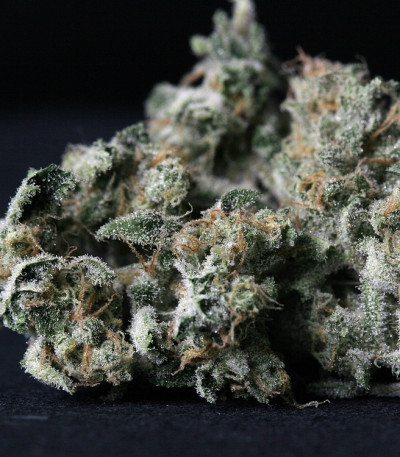 A-Train reg (TH Seeds) семена конопли